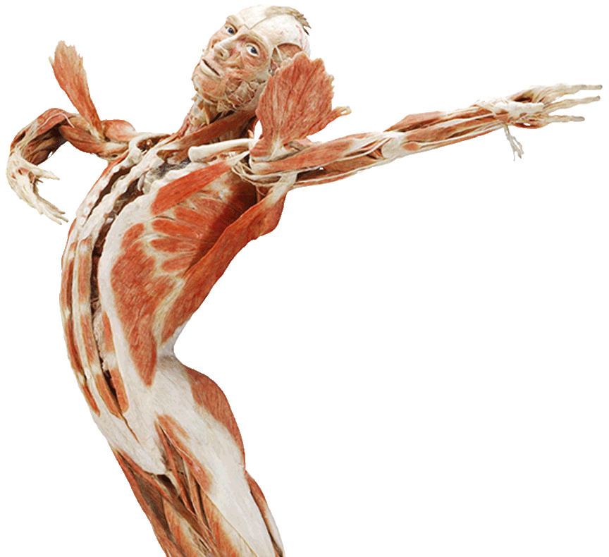 background-19.png